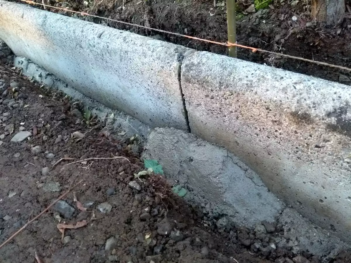 Réaliser une bordure de jardin naturelle sans ciment : astuces et conseils pratiques