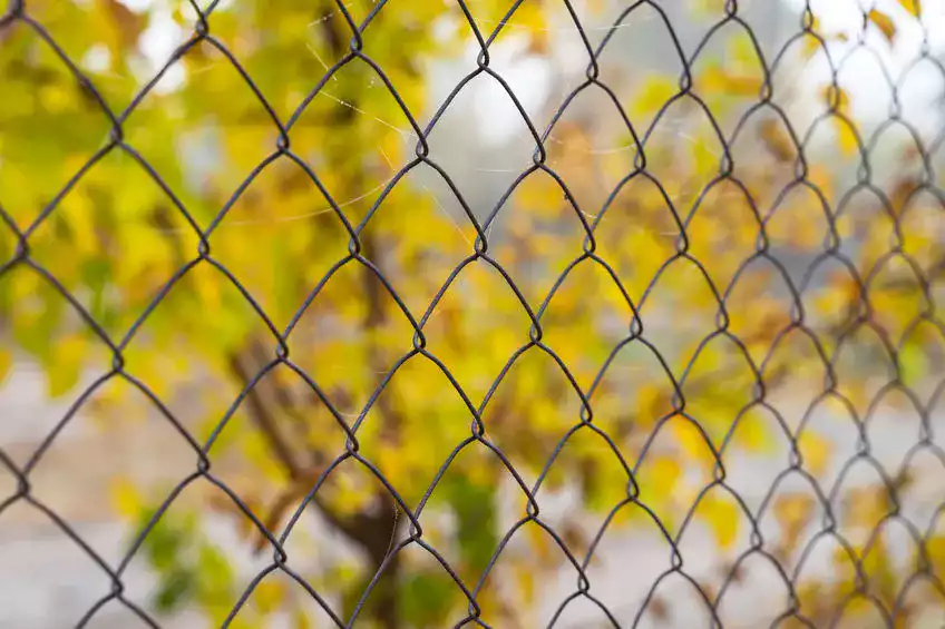 Une sécurité immédiate et sans compromis