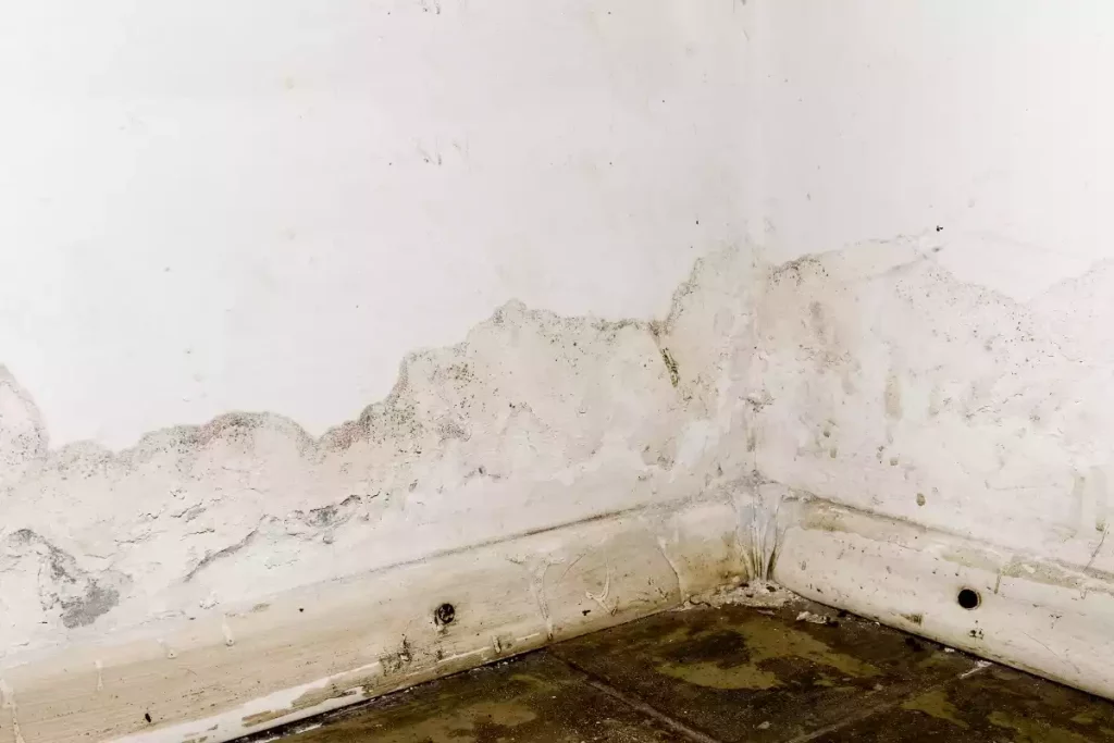 mur humide fuite canalisation