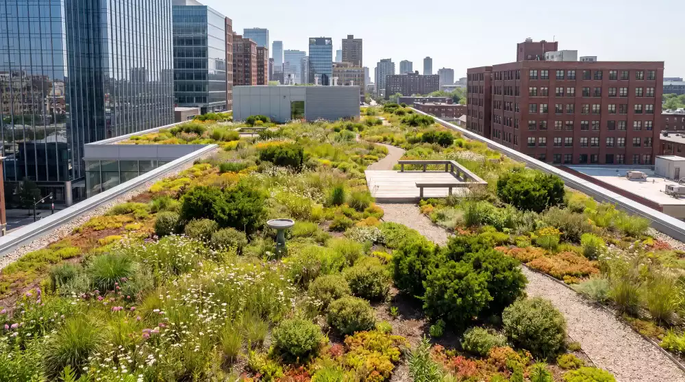 Comment les plantes transforment-elles la ville en alliée contre la chaleur et les intempéries ?